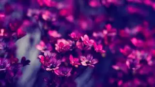 Diviners ft. Dom Robinson - Flowers (Sowlmate Remix)