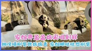 1月14日💖细佬唔瞓觉就擒擒青～家姐眼瞇瞇想瞓觉？冇咁易！甩绳马骝缠实实，冇觉好瞓🐼💖