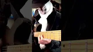 Halloween AF @Periphery #guitarcover #metalmusic #metalcore #cosplay #halloween