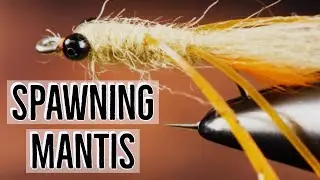 Spawning Mantis Shrimp Fly Pattern (Fly Tying Tutorial)