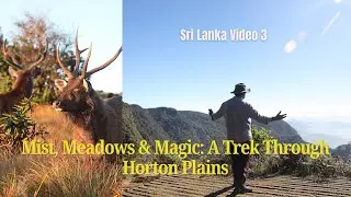 Horton Plains | This Trek Took Me to the Edge of the World | From Nuwara Eliya