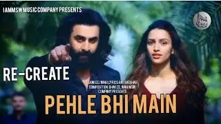 pehle bhi mein [ Re-create ] Animal Album | Shakeel Wani | Raj Shekhar | new Song hd video