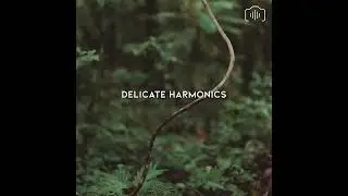 SMYAH - Delicate Harmonics