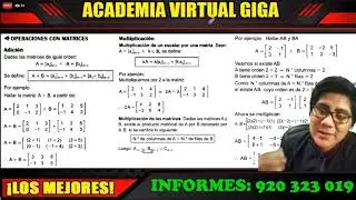 ALGEBRA: MATRICES Y DETERMINANTES-Teoría y Problemas Resueltos