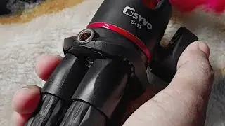 For Beginners In YouTube