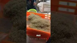 This Farmer Weird Idea Actually Worked