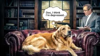 Do Dogs Get Depressed? | Simple Dog Facts