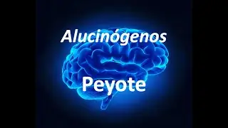 Peyote y mescalina