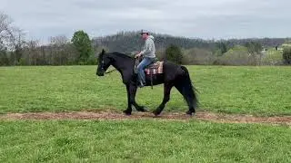 Chapo ☎️ Trevor 606-516-8069 www.TheHorseBay.com