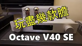 【#器材試聽】德國 Octave V40 SE 合併膽機，換膽玩換到手軟！