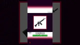 NYC Gun Laws Explained! Assault Weapons & Ammo Bans