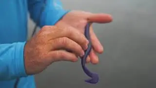 Zoom Speed Worm tips with FLW Tour Pro Miles Howe