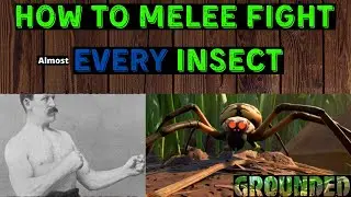 SPIDER Fighting tutorial! and HOW TO fight EVERY insect! Grounded gameplay!