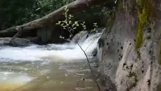 Hualqui Millahue