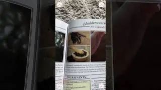 Shop smarter, not harder