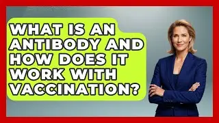 What Is An Antibody And How Does It Work With Vaccination? - Firsts of the World