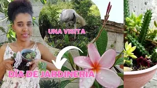 💚Todo un día de JARDINERÍA | Me regalaron Plantas😍