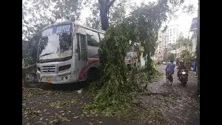 Death and destruction after cyclone hits India, Bangladesh