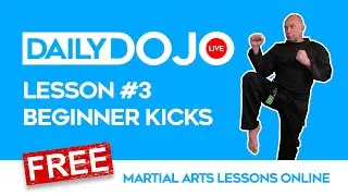 FREE MARTIAL ARTS LESSONS:  Lesson #3 (Beginner Kicks)