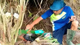 Set a bird trap 🐦 while cooking