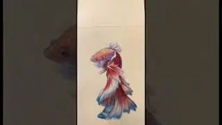Когда забыла записать процесс🥲 #artoftheday #drawingideas #художник