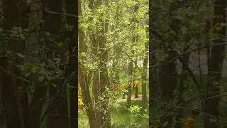 Zion National Park rescue
