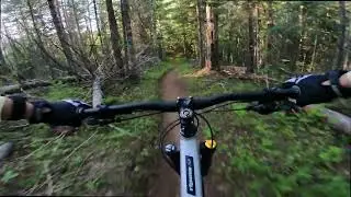 Trail 257 - CdA Mtn - Idaho