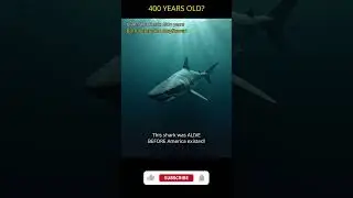 This animal was alive BEFORE America existed... 🦈 #shorts