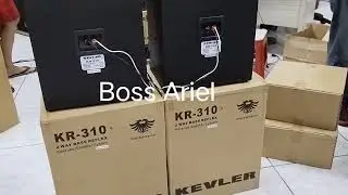 KEVLER KR-310 2way BASS REFLEXPOWER HANDLING   450W