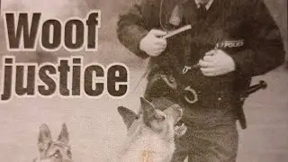 Police Dog Handler Learns  valuable lesson When things Don`t Go as Planned!