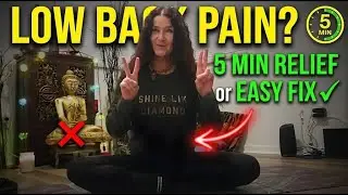 Ease Low Back Pain Fast | Preventative Care Stretches & Strengthening Exercises