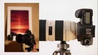 TIPP Fotokurs: geringe Sch&auml;rfentiefe - weichen Hintergrund erzeugen | geringe Tiefensch&auml;rfe