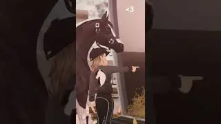 Pov: Anstatt dein Pferd zu verkaufen, l&auml;sst du es frei&hellip; // SSO // Antonia Riverdew