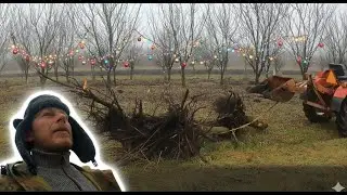 U Waldka na Ranczo - Pniaki, Orka, Zabytki, 2 życie lod&oacute;wki