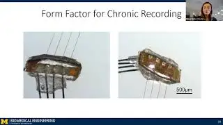 Talk: Mechanical modifications to carbon fiber electrodes increase recording yield in brain and ena&hellip;