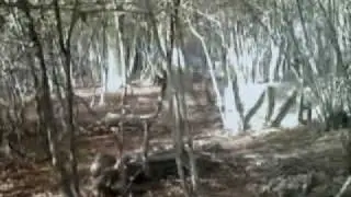 Bricket Wood Secret Agent