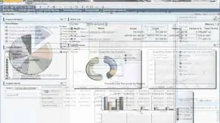 Cognos 10 with SAP Solutions - IT Demo