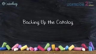 Backing up the Lightroom Classic catalog