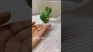 🪴DIY MINIATURE PAPER PLANT🪴#decoration #diypapercraft #paperplant
