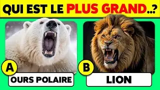 Connais-tu les ANIMAUX...? 🐧🦁✅ 50 questions pour tester ta CULTURE G&Eacute;N&Eacute;RALE