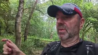 A busy weekend of Swim Run Training