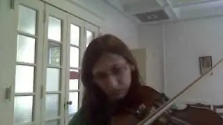 Super Mario 64 Main Theme (Violin Cover)