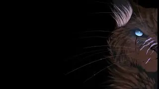 Habichtfrosts Geschichte (Zusammenfassung)  | Warrior Cats