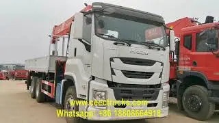 Where to buy good quality ISUZU 12 wheeler crane truck?
