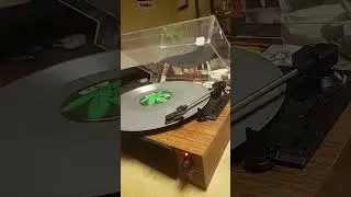 i bought a record player
