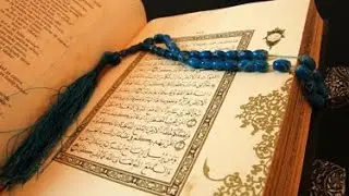 Ecoutez l’ignorance des savants sunnites,wahabistes et salafites 👿