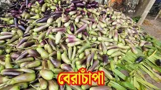 বেরচাঁপা হাটে সবজির দাম কেমন | Berachapa Sobjir Haat | Wholesale Vegetable Market in Kolkata |