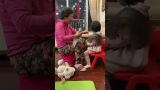 Bà nội cắt tóc cho Sóc