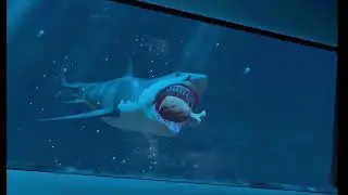 Ocean Rift Mixed Reality Aquarium - Great White Shark