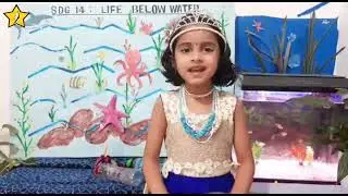 Show and Tell Activity: SDG 14 - Life Below Water